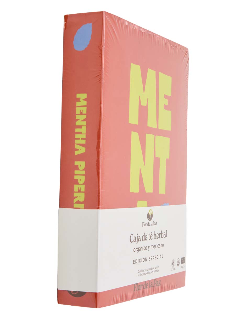 Té diferentes sabores en sachet 2