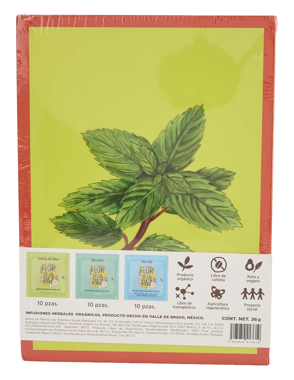Té diferentes sabores en sachet 3