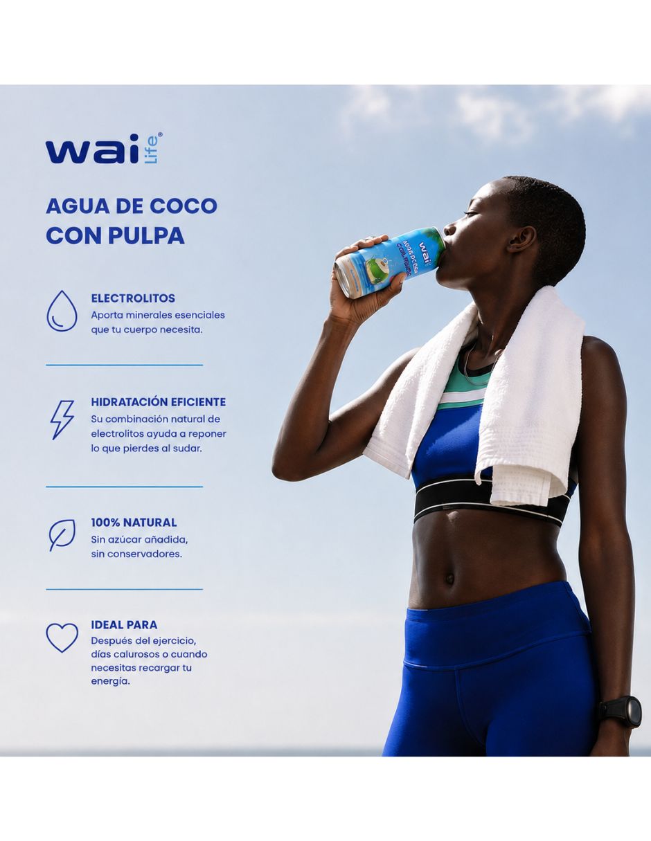 Bebida saborizada sabor Coco 6