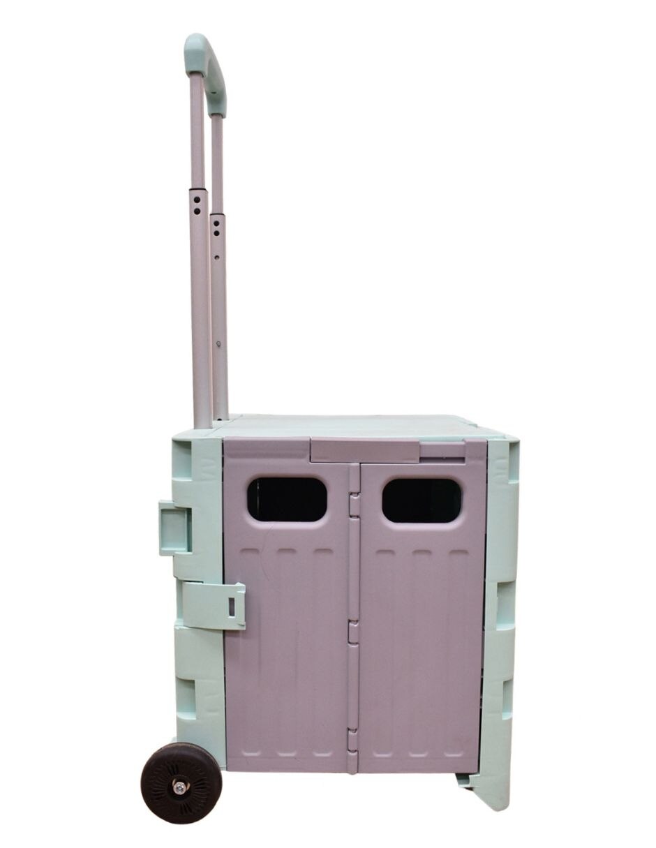 Carrito de compras plegable 2