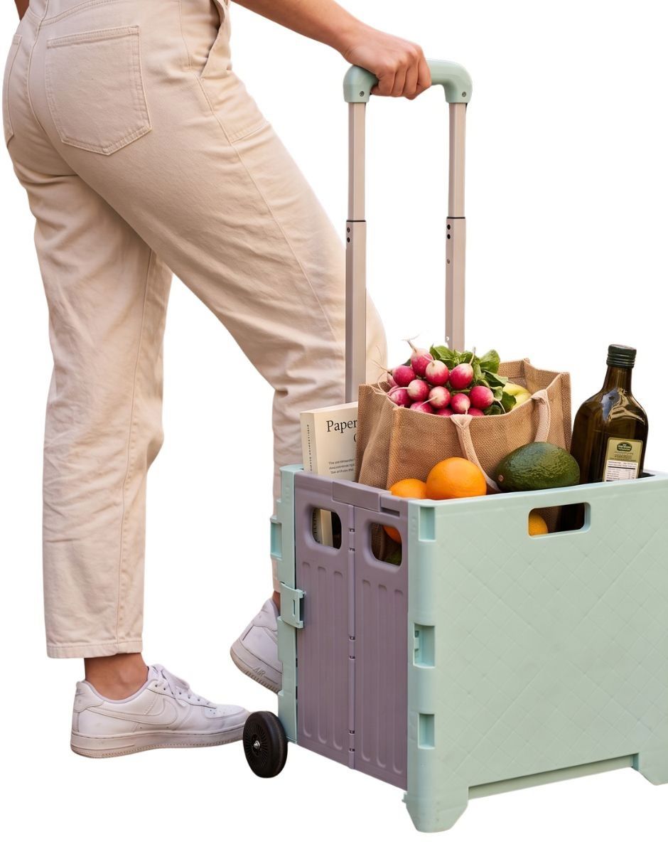 Carrito de compras plegable 4